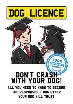 LORENZO BARICHELLA OF TRAINING DOG LAUNCHES NEW VIDEO COURSE – DOG LICENCE