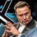‘Malevolent force’ or haven for free speech? How Elon Musk turned Twitter upside down