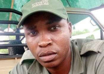 Anti-poaching ranger crushed to death by hippo in South Africa