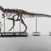 Entire skeleton of Tyrannosaurus rex set to fetch eye-watering sum at auction