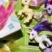 Russian police called to My Little Pony convention over ‘gay propaganda’