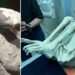 ‘Alien mummies’ found in Peru have fingerprints that are ‘not human’