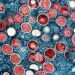 Mpox clade 1: what you need to know
