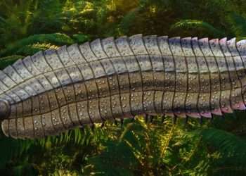 Scientists uncover car-sized insect which roamed Earth 340,000,000 years ago