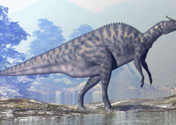 Stomping 50ft ‘Mongolian giant’ created ‘biggest two-legged dinosaur footprints’ ever found – and it even dwarfed T-rex