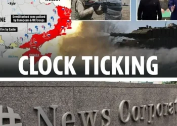 News Corp results cite Sun traffic decline but growing Times subscriptions